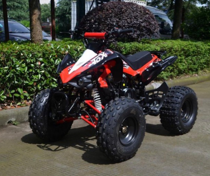 Quad 125 Mini Quad Avviamento Elettrico Quad KAYO AT125 PREDATOR